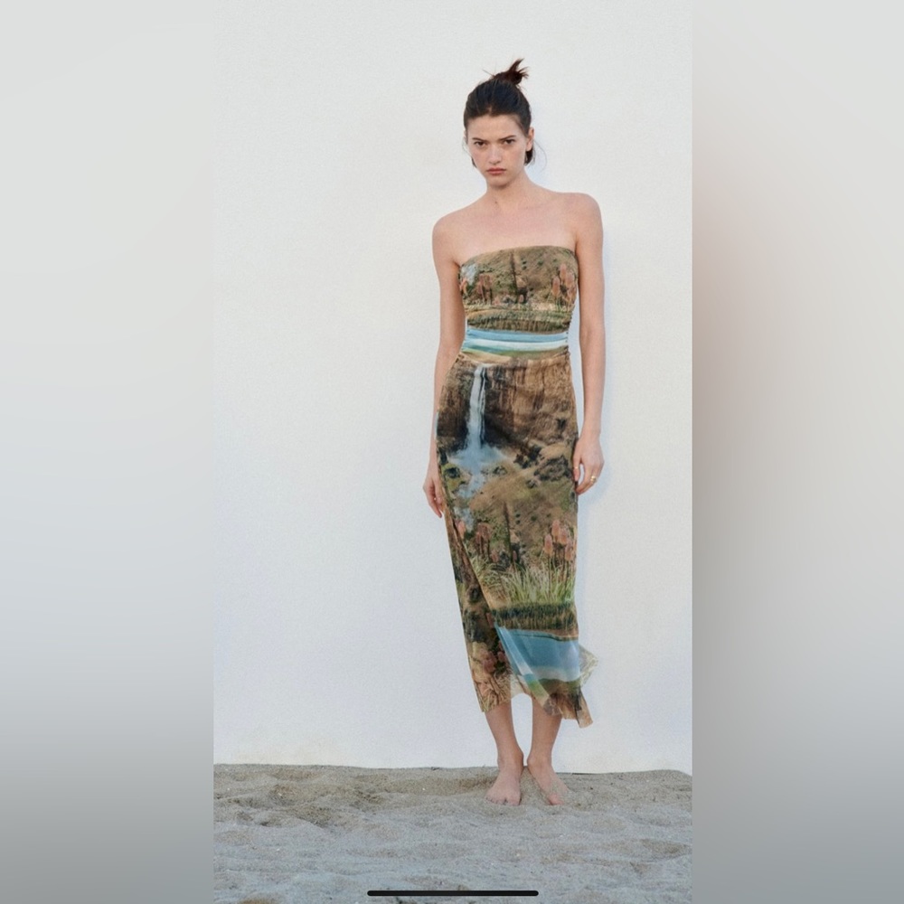 Zara Printed Tulle Dress